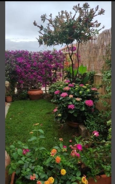 Casa Mariangela Villa Olbia Eksteriør bilde